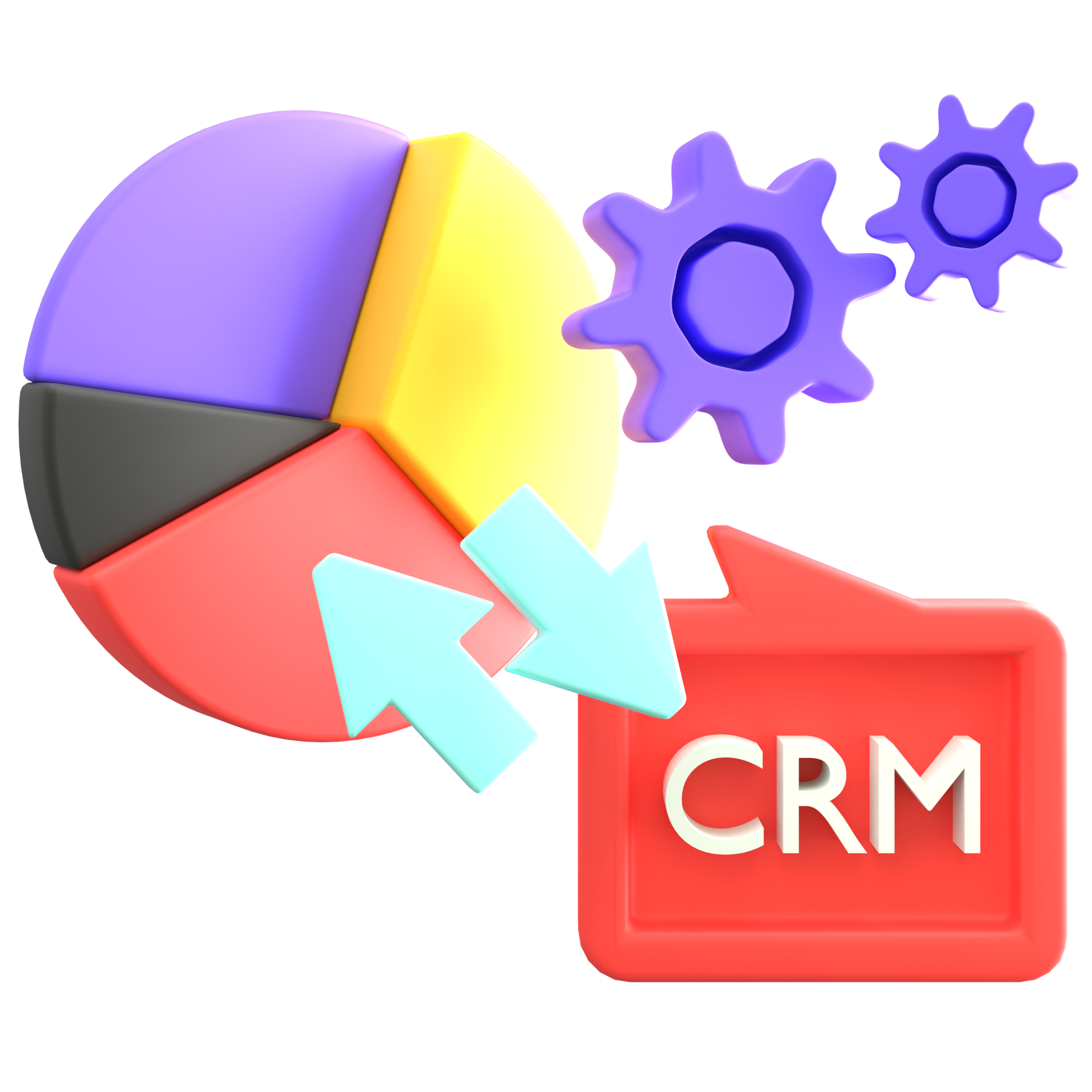 CUSTOMIZED CRM SOFTWARE