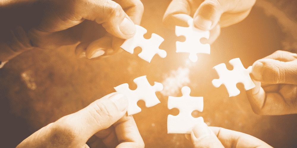 Partnership Growth