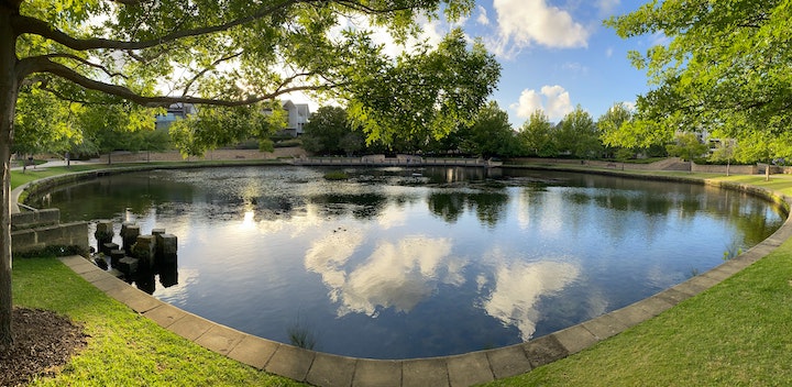 Yard pond clean free of algae