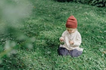 Maintaining a Healthy and Weed-Free Lawn All Year Around in Texas